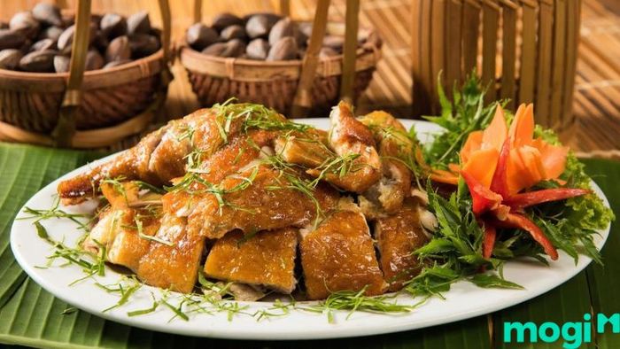 Ba Vì có rất nhiều điểm đến thú vị để khám phá phải không?