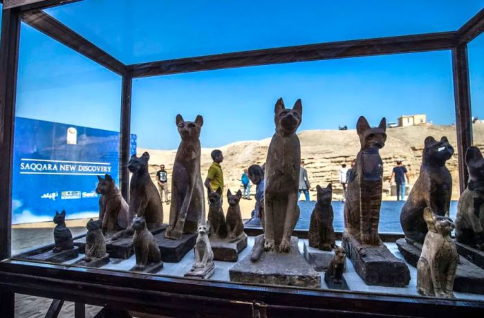 Cat statues were displayed on November 23, 2019.