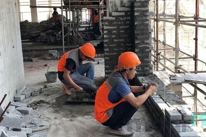 Thiết kế và xây dựng công trình.
