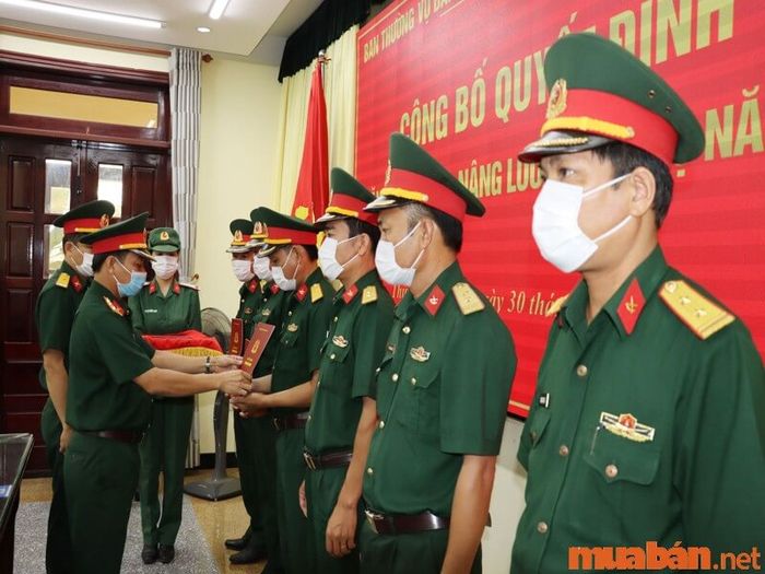 Mức lương hưu của đại tá quân đội khi về hưu là bao nhiêu?
