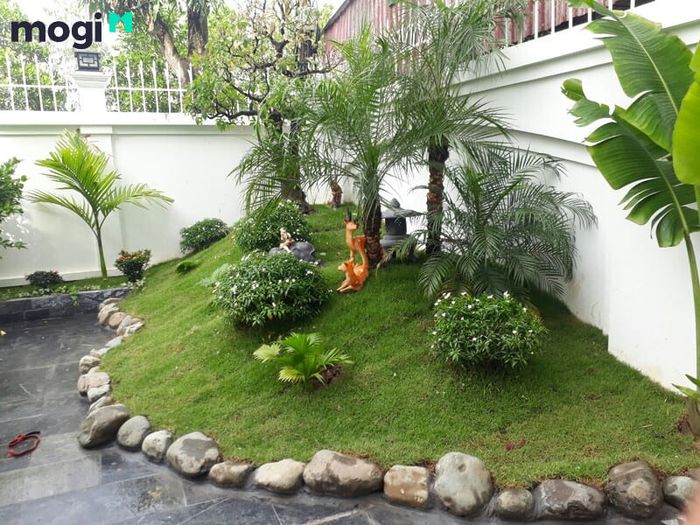 tiểu cảnh sân vườn mini