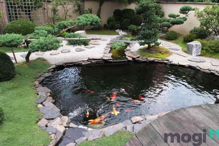 Tiểu cảnh sân vườn nước là gì?