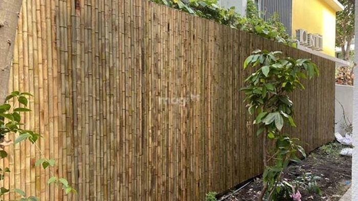 Chọn chiều cao hàng rào phù hợp với không gian quán là yếu tố quan trọng.