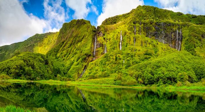 On Flores Island in the Azores, waterfalls cascade down towering cliffs, creating a stunning natural spectacle.