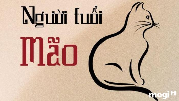 Thông Tin Chung về Gia Chủ Đinh Mão 1987