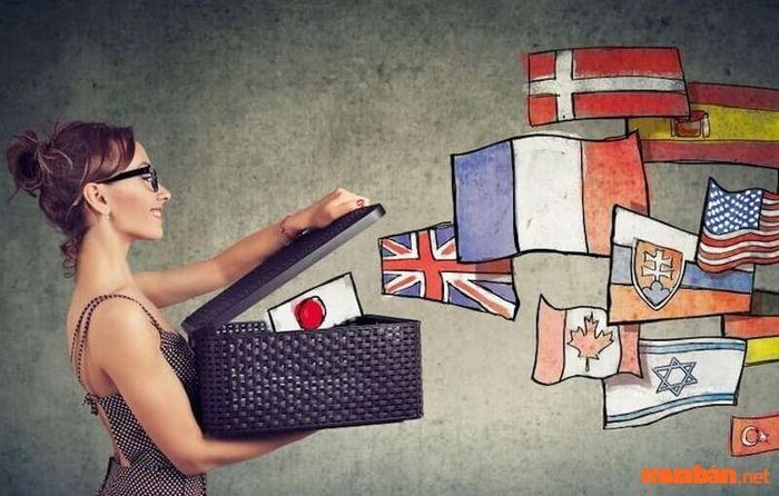 Học ngành nào để có thể trở thành biên dịch viên trong tương lai?