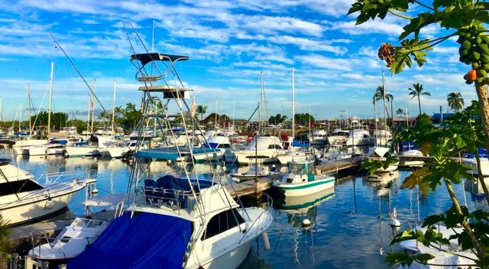 However, some experts and environmental advocates express concern over the growing number of fast-moving tourist boats linking humans with the dolphins.