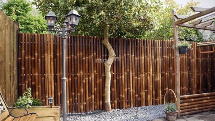 Quán cafe trang trí bằng hàng rào tre nứa, hòa quyện cùng thiên nhiên, mang lại cảm giác dễ chịu cho khách hàng.