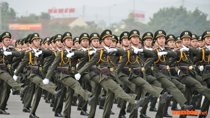 Cấu trúc cấp bậc quân nhân trong Quân đội Nhân dân Việt Nam