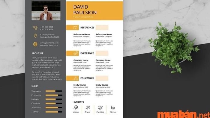 Vị trí phù hợp để ghi sở thích trong CV