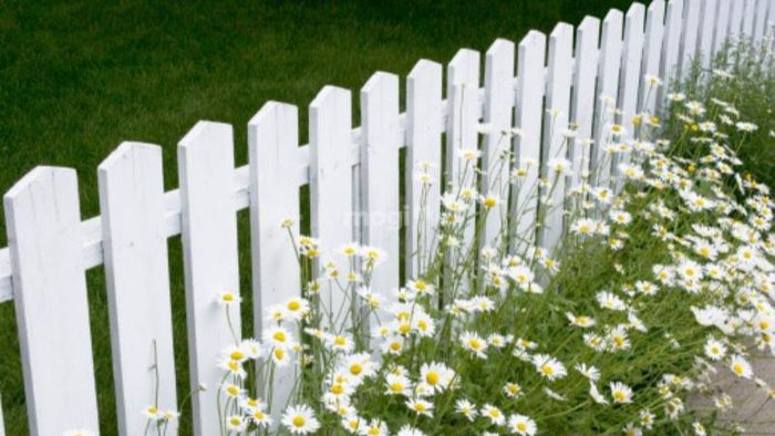 Hàng rào bê tông giả gỗ là lựa chọn hoàn hảo để trang trí cho không gian quán cafe của bạn.