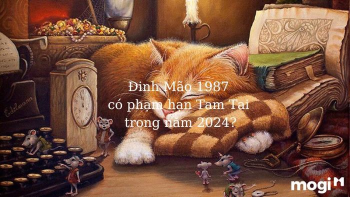 Tuổi Đinh Mão có phạm phải hạn Tam Tai vào năm 2024 không?