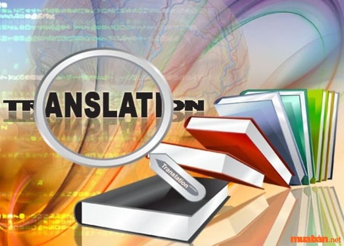 Kiến thức chuyên môn vững vàng của biên dịch viên