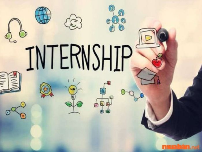 Internship là gì?