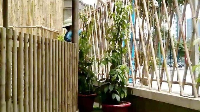 Hàng rào tre nứa là lựa chọn tuyệt vời để trang trí quán cafe, mang đến vẻ đẹp giản dị và thanh bình.