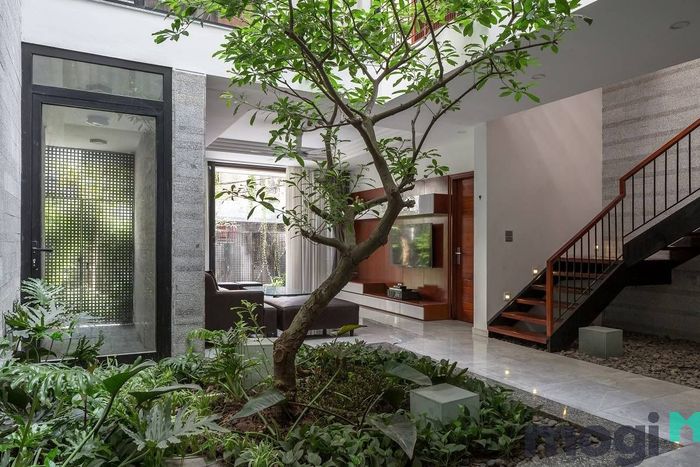 Tiểu cảnh sân vườn là gì?