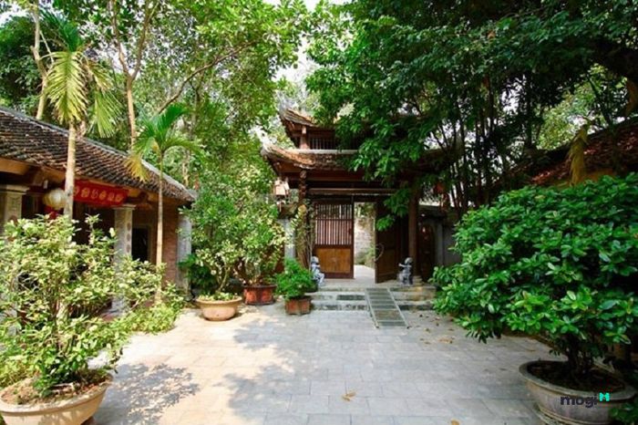 Không gian sống của nghệ sĩ Vượng Râu.