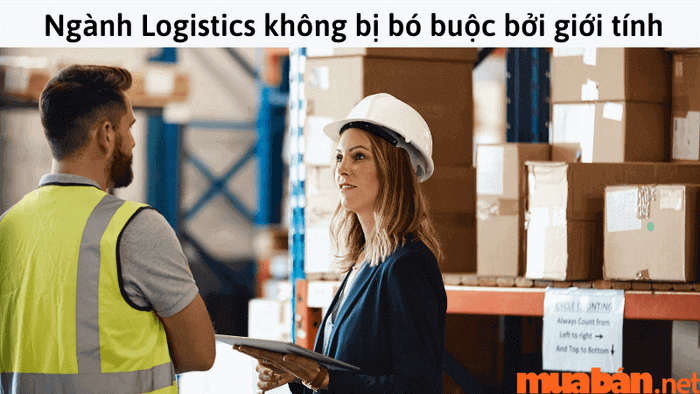 Liệu con gái có nên theo học logistics?