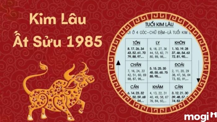 Liệu Tuổi Ất Sửu 2024 Có Gặp Hạn Kim Lâu Không?