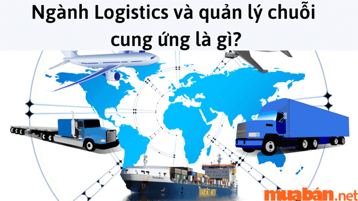 Liệu con gái có nên theo học logistics hay không?