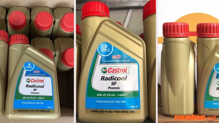 Nước làm mát xe máy - Castrol