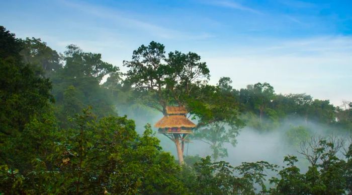 The Gibbon Experience’s treehouses sit at an impressive height of 30 to 40 meters above the jungle floor.