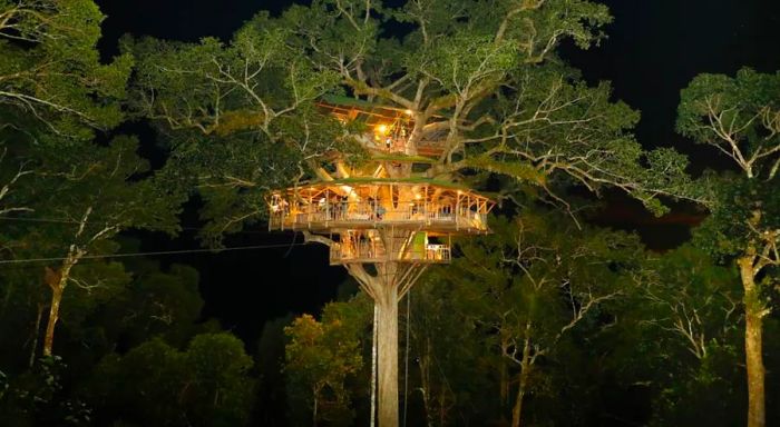 A Gibbon Experience treehouse at night, lit against the dark jungle backdrop.