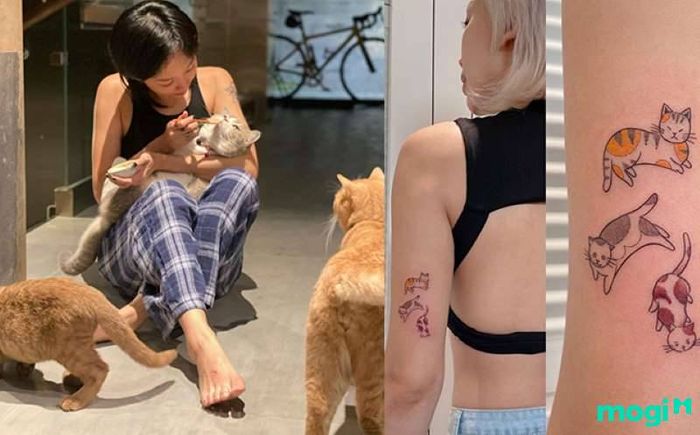 Các giống mèo phổ biến ở Việt Nam