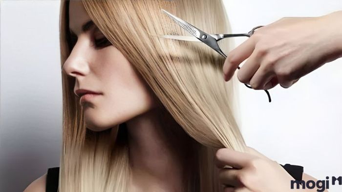 Theo quan niệm xưa, việc cắt tóc không chỉ là thay đổi ngoại hình mà còn ảnh hưởng đến vận mệnh. Vì vậy, khi lên lịch cắt tóc tháng 3 năm 2024, bạn cần chú ý chọn ngày sao cho hợp lý để tránh gặp phải xui xẻo. Trong tháng 3 năm nay, sẽ có những ngày tốt và ngày xấu, và việc cắt tóc vào những ngày xấu có thể làm mất đi may mắn. Tóc được xem là một phần quan trọng gắn bó với bản thân, nếu cắt tóc vào ngày không tốt có thể ảnh hưởng đến vận khí, khiến bạn gặp phải thị phi và khó khăn. Tuy nhiên, việc chọn ngày tốt hay xấu để cắt tóc còn phụ thuộc vào tín ngưỡng và quan niệm cá nhân của mỗi người. Hãy cùng tham khảo danh sách những ngày tốt cắt tóc trong tháng 3 năm 2024 dưới đây, để lựa chọn thời điểm thích hợp cho mình.