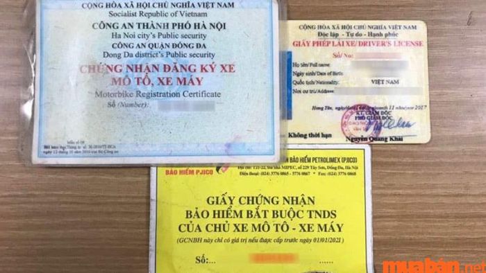 Kiểm tra giấy tờ xe trước khi quyết định có nên mua xe Winner cũ không?