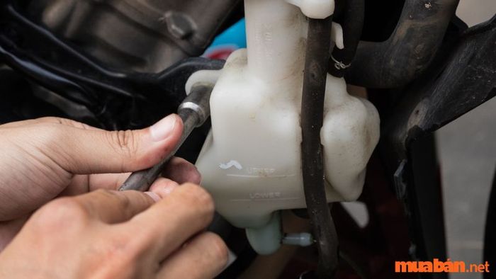 Tháo ốc cố định giúp bạn loại bỏ nước làm mát bên trong nhanh hơn.
