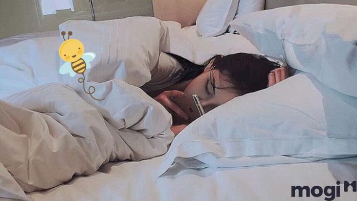 Ong bay vào phòng ngủ là điềm gì?