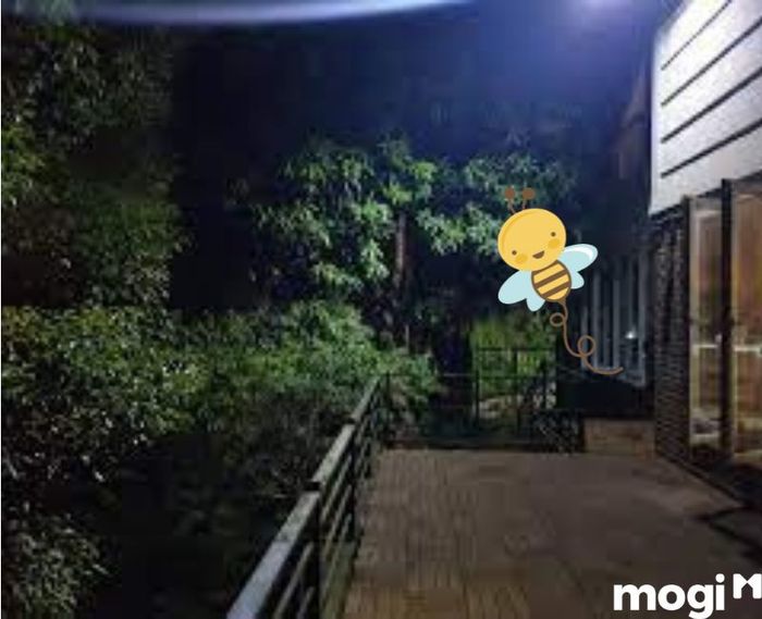 Ong bay vào nhà vào buổi tối mang đến điềm báo gì?