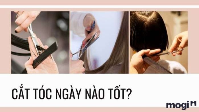 Ngày Tốt Cắt Tóc Tháng 2 Năm 2024: Lựa Chọn Đúng Thời Điểm