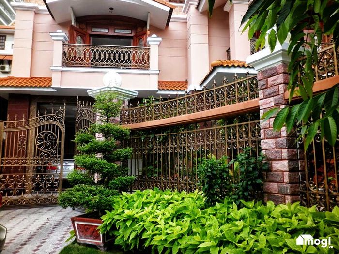 Cây trồng trong nhà có thể giúp ngăn chặn năng lượng xấu từ bên ngoài xâm nhập vào.