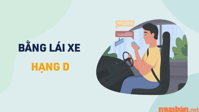 Lái xe 16 chỗ cần bằng lái gì? Những điều kiện để tham gia thi lấy bằng hạng D là gì?