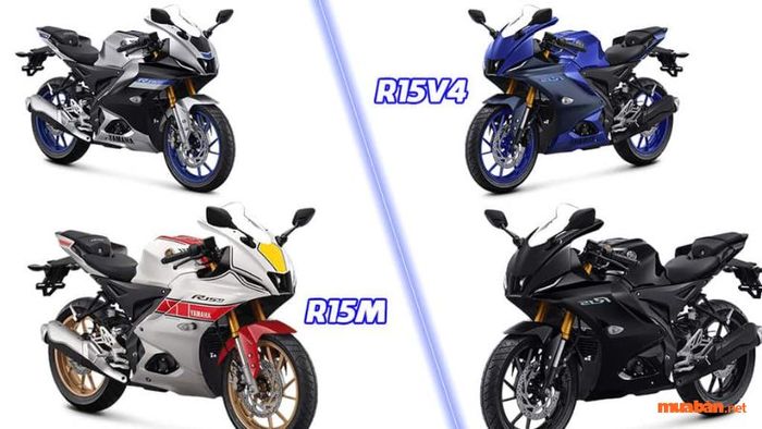 r15 v4 giá bao nhiêu