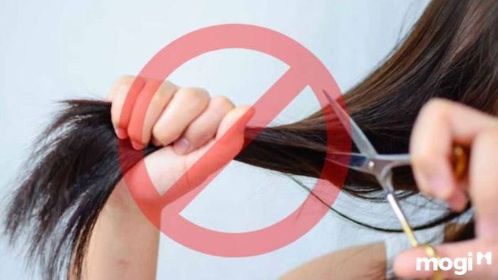 Ngày Xấu Cắt Tóc Tháng 2 Năm 2024: Cần Tránh