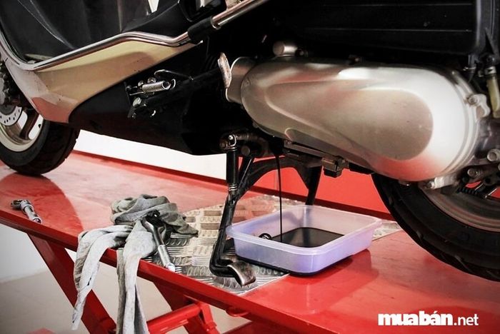 Để đảm bảo hiệu suất động cơ, bạn nên thay dầu đúng theo chỉ dẫn của nhà sản xuất xe.
