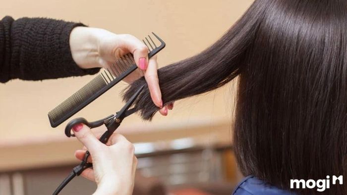 Kiêng Cắt Tóc Trước Khi Đi Thi