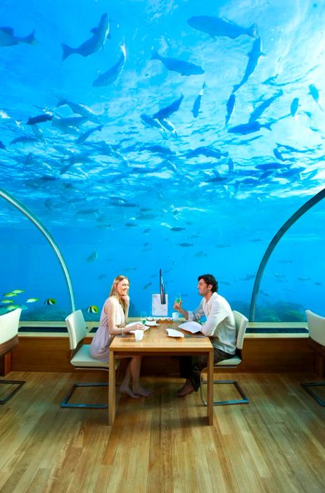 Ithaa: Conrad Maldives boasts the world’s only all-glass underwater restaurant.