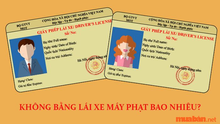 Khi tham gia giao thông mà không có bằng lái xe máy, mức phạt sẽ là bao nhiêu?