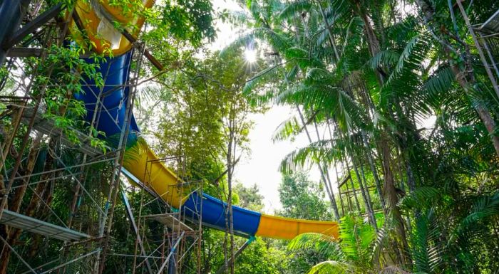 ESCAPE's gigantic new waterslide offers riders a thrilling four-minute journey through a jungle landscape.