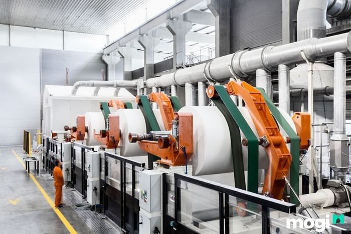 Lợi ích của các sản phẩm tái chế từ giấy