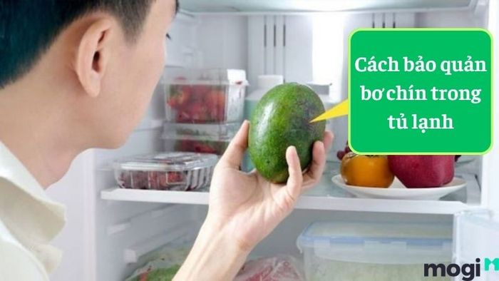 Phương pháp bảo quản bơ đúng cách