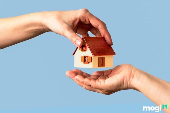 Những ngày cần tránh khi cắt tóc trong tháng 1 năm 2025