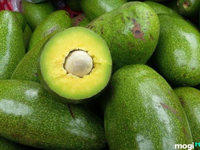 bí quyết chọn bơ ngon nhất