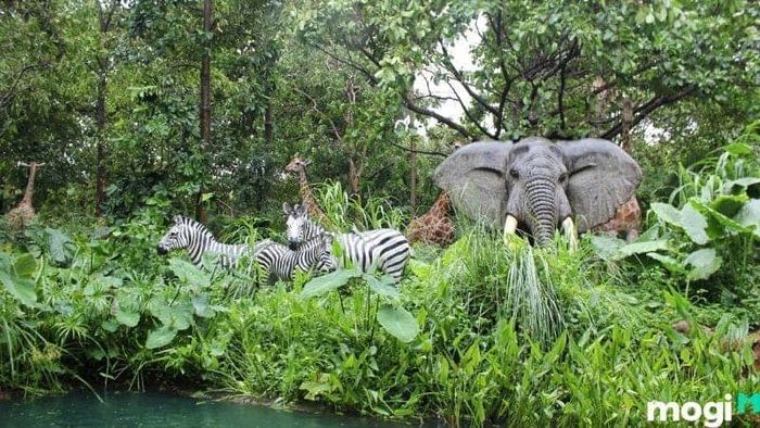 Ngày Thế giới bảo vệ động vật hoang dã – 3/3
