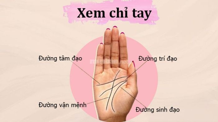 Đường chỉ tay may mắn là gì?