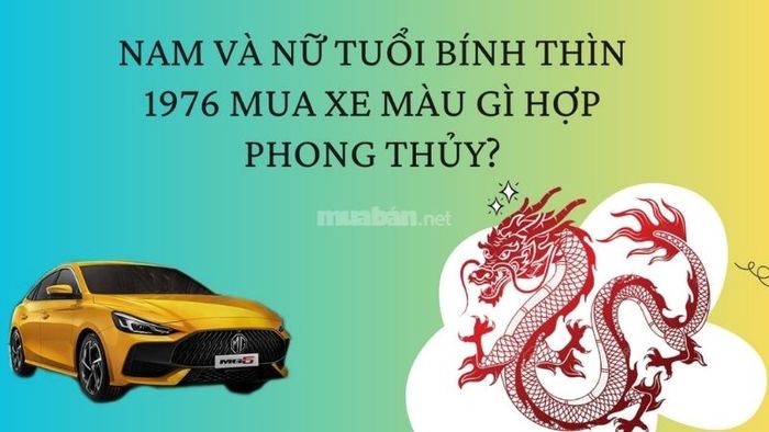 Nam và nữ tuổi Bính Thìn 1976 hợp với màu xe nào?